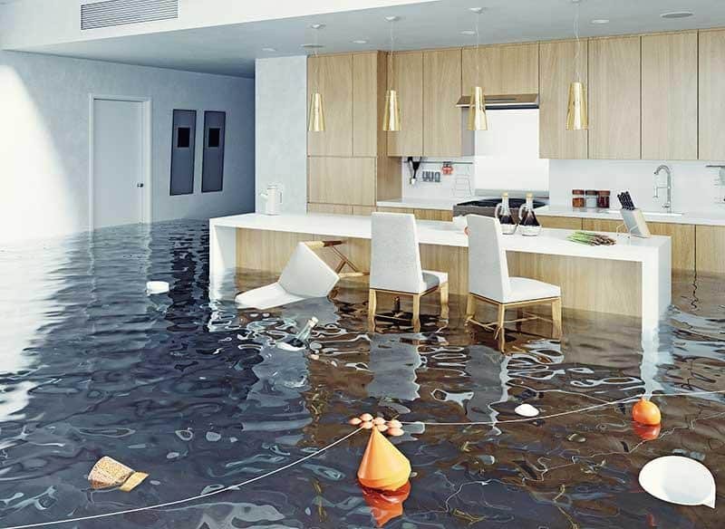 Best Water Damage Restoration Services